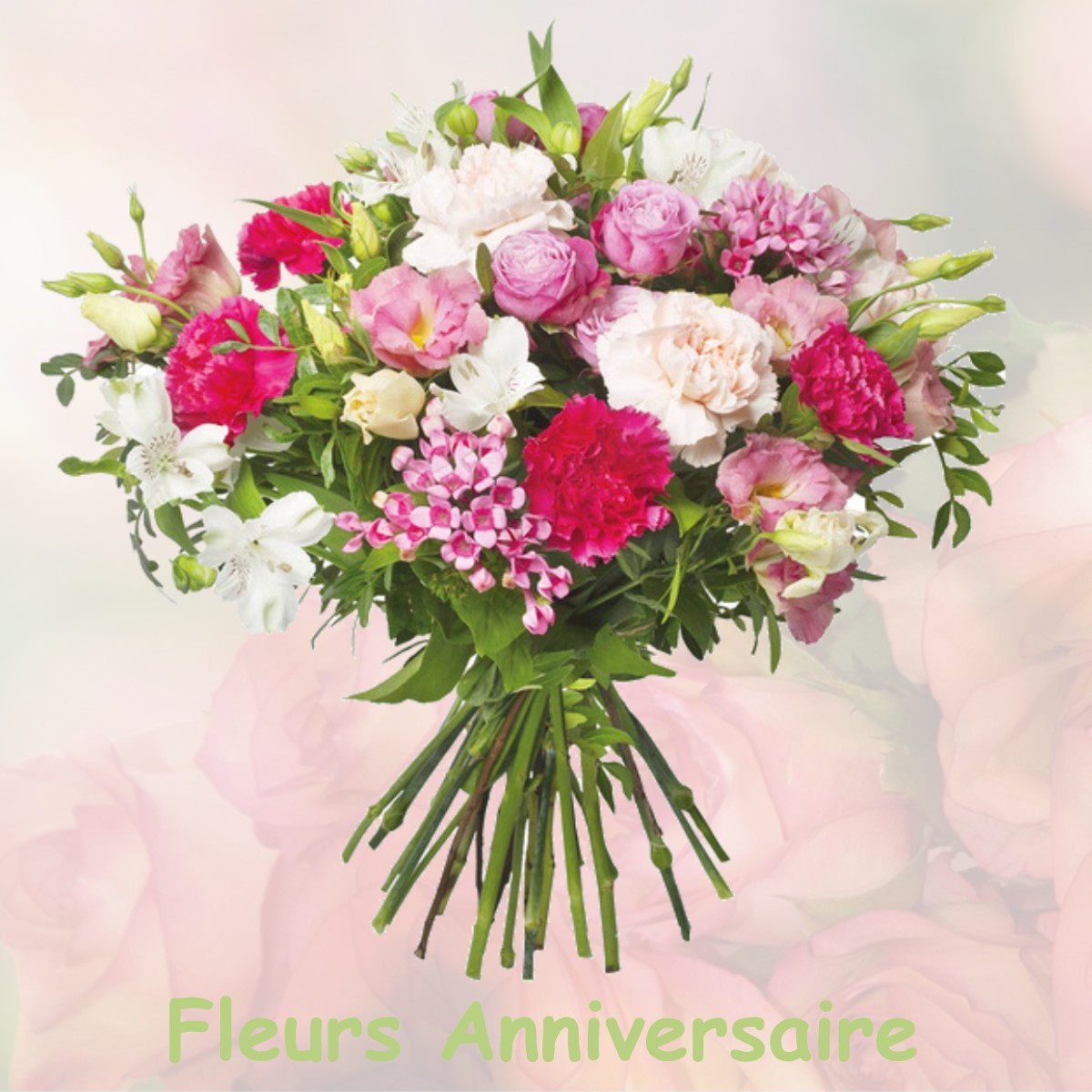 fleurs anniversaire SEMOUTIERS-MONTSAON